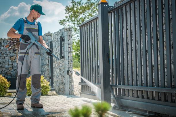 Best Gutter Cleaning  in Dewitt, MI
