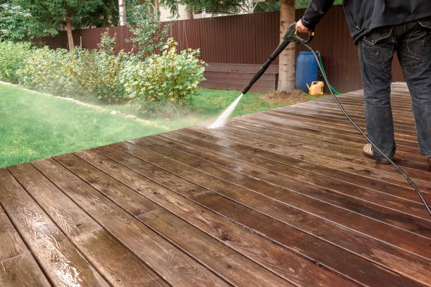 Best Spring Cleaning  in Dewitt, MI